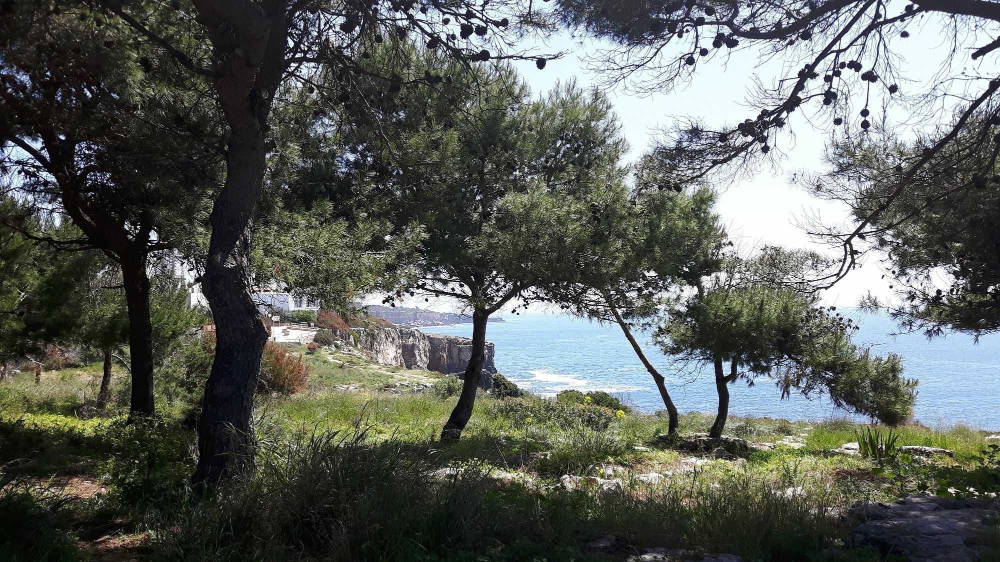 Charming Golf & Villa *